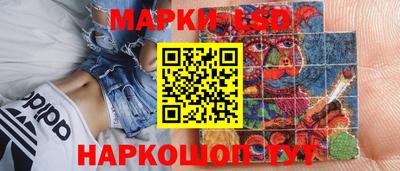 прущие грибы Краснознаменск