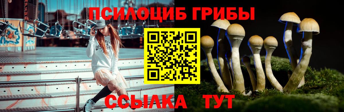 Псилоцибиновые грибы прущие грибы Кропоткин